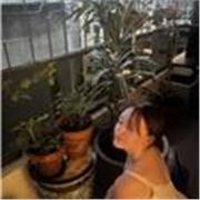 Profesora de inglés que imparte en clases a todos niveles y edades con prioridad en acompañamiento y apoyo escolar