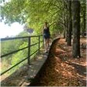 Laureata in Lettere (110 e lode) e laureanda magistrale in Filologia, con esperienza nelle ripetizioni private