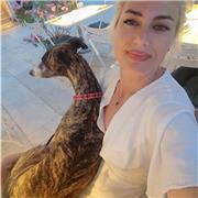 Programming/Mathematics for students of all ages