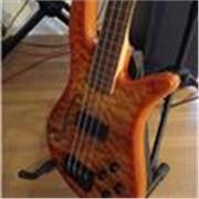 Studente conservatorio impartisce lezioni basso elettrico e pianoforte a principianti di tutte le età Padova zona Guizza o online