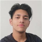 Aprendiendo desde 0 vocabulario, escritura y estrategias para alcanzar un nivel intermedio o avanzado (Aplica español e Inglés)