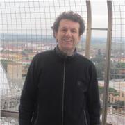 docente ruolo liceo scienze umane e linguistico