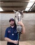 Médico veterinario dedicado a la medicina deportiva y ortopedia en equinos imparte clases de imagenología enfocada en caballos