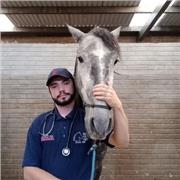 Médico veterinario dedicado a la medicina deportiva y ortopedia en equinos imparte clases de imagenología enfocada en caballos