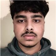 Maths tutor with experience teaching students from anywhere online