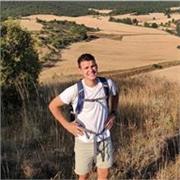 Profesor de Educación Primaria