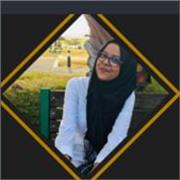 Audit and assurance facilitator to beginner till advanced level