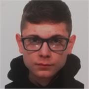 Studente universitario di ingegneria gestionale offre ripetizioni di matematica e inglese