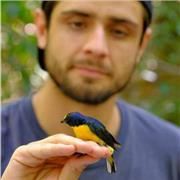 Wildlife Biologist with solid foundations in school biology with teaching experience with highschool and university students.