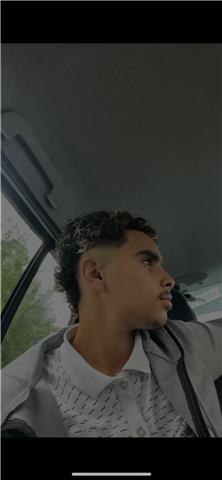 Hamed