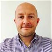 Experienced native English tutor