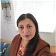 Clases de lenguaje 1° a 4° medio online, profesora experto 1