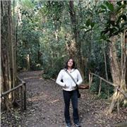 Apoyo escolar en lengua castellana y literatura, primario y secundario