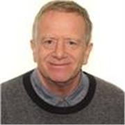 English tutor for all levels of General and Professional English