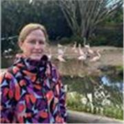 Clases de Castellano o Portugués Aprende lo básico y ya podrás estar bien