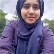 Professional software engineer providing online basic programming and sql lessons