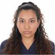 Docente de apoyo con experiencia en diseño e implementación de estrategias pedagógicas