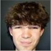 I'm a current A Level student with (almost) clear A* results willing to help your child see the success I did