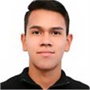 Prefesor Bilingue de In gles y Español Virtual