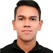 Prefesor Bilingue de In gles y Español Virtual