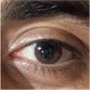 Psicopedagogia, apoyo en habilidades cognitivas, autogestión y filosofía