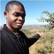 Professor particular de Inglês e gramática portuguesa com experiências e acompanhamento profissional