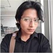 Maestro de matemáticas con dominio en algebra y aritmética