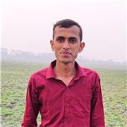 Anil