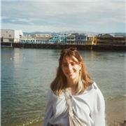 Offro lezioni private per studenti delle medie e delle superiori in storia dell’arte e disegno