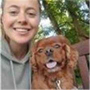 Qualified primary school teacher with 5+ years experience