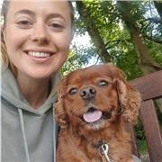 Qualified primary school teacher with 5+ years experience