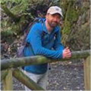 Profesor de latín con 15 años de experiencia