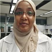 Sulafa