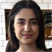 I am a native British English professional who can support pupils from all age groups build on their English language proficiency