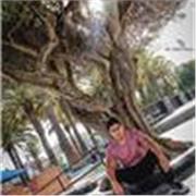 Titulado en la carrera técnica de Administración de negocios; curso en Gestión de marca; programa en Administración de empresas en desarrollo; curso en Business Process Managment. Clases para todos aquellos que estén interesados en gestionar de manera cor