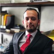 Profesor de inglés y traductor