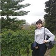 Experienced Cambridge Certified English teacher available online