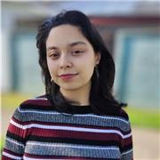 Dicto clases de Lenguaje, Historia y Arte a niños y adultos