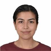 Enseño inglés de una manera divertida integrando los intereses del alumno, adolescentes y jóvenes. 