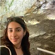 I am a native english speaker and have taught english before