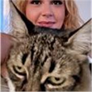 Anyone who needs conversational experience in the language. 