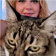 Anyone who needs conversational experience in the language.