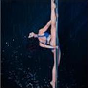 Ciao a tutti ,sono Francesca insegno pole dance e flessibilità livello base ed intermedio. Contattatemi per maggiori info😁