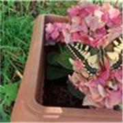 Offro ripetizioni accurate di latino e italiano. Metto a disposizione molta esperienza e capacità di insegnamento