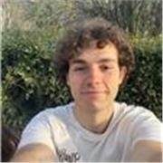 Profesor de primaria online o presencial apto para todas las edades y asignaturas, con especialidad en matemáticas