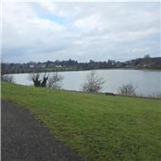  From Basics to Fluency: Your Journey into the Arabic Language Starts Here