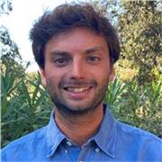 Ragazzo bilingue propone lezioni di inglese per tutte le età e supporto nello svolgimento dei compiti