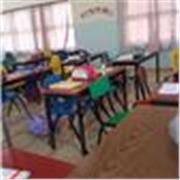 Maestro especializado en apoyo escolar para niños de primaria