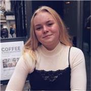 I teach English Literature and Language as a school subject using online lessons. 