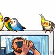 Chico con amplios conocimientos del departamento de Primaria.